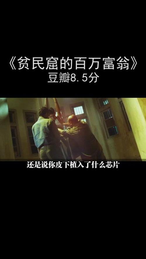 成视人免费完整版,深度解析影视盛宴背后的秘密